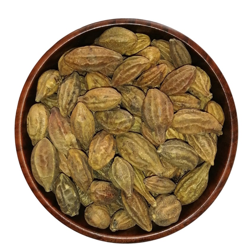 Terminalia-chebula.jpg هلیله زرد - Image 1