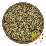 تخم گشنیز