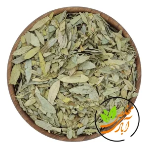 برگ سنا