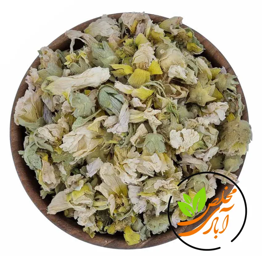 ختمی سفید مخلص آبادی گل ختمی سفید - Image 1