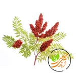 پودر سماق قرمز - Image 2
