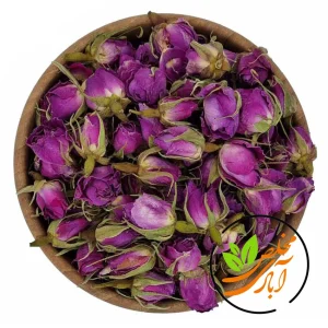 غنچه گل محمدی لاله زار