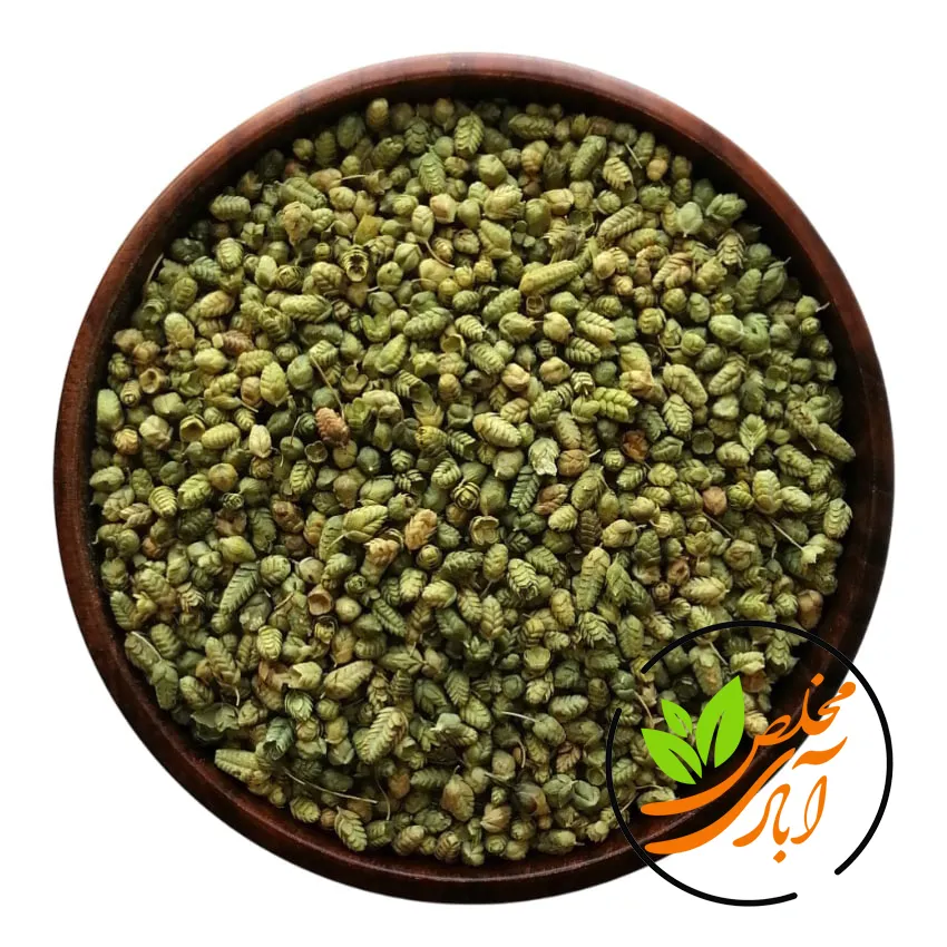 گل ارگانو مخلص آبادی گل اورگانو - Image 1