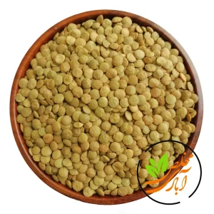 عدس درشت روس