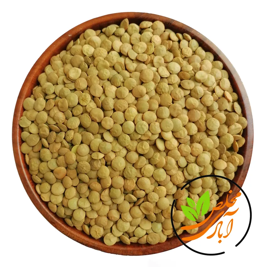 عدس درشت روس