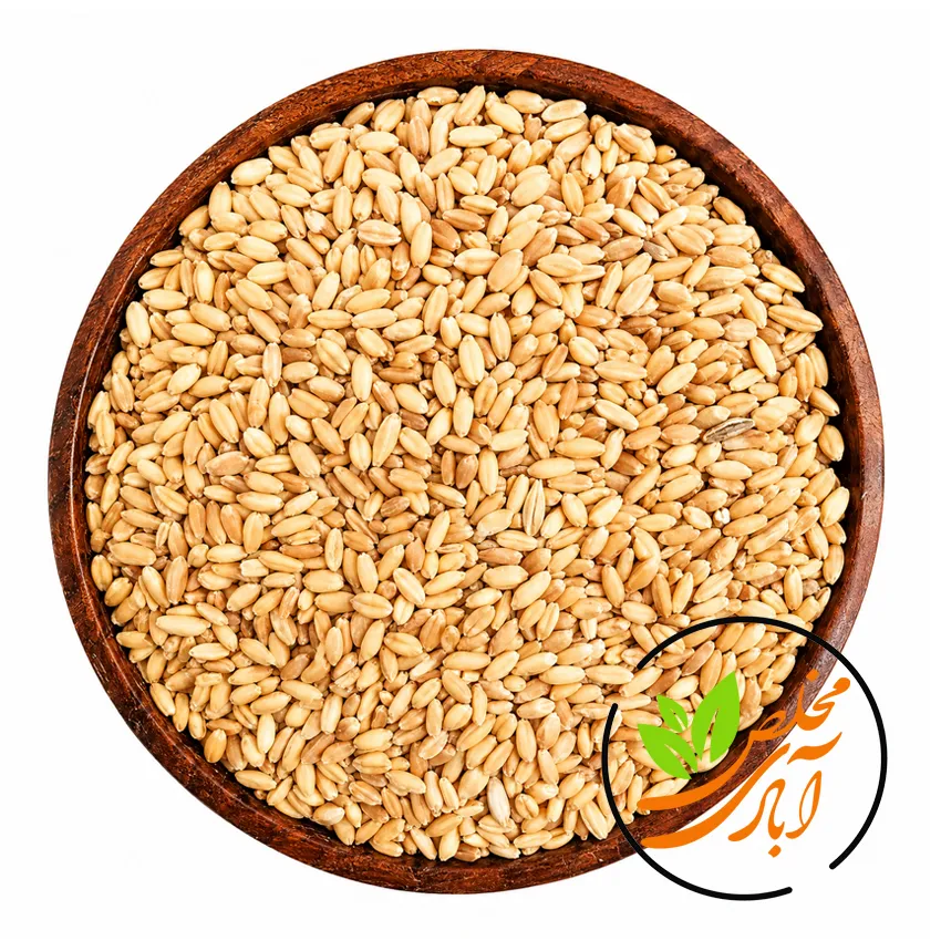 گندم مخلص آبادی گندم مرغی - Image 1