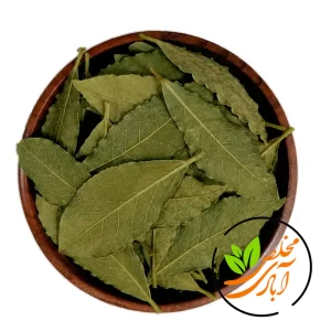برگ بو