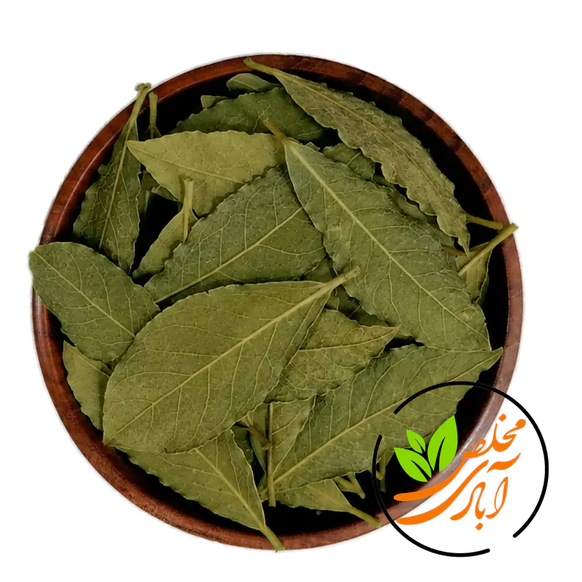 برگ بو 01 مخلص آبادی برگ بو - Image 1