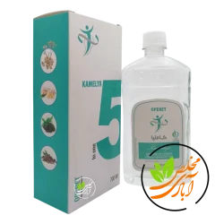 کاملیا-زرین-گل-5-مخلص-آبادی.webp